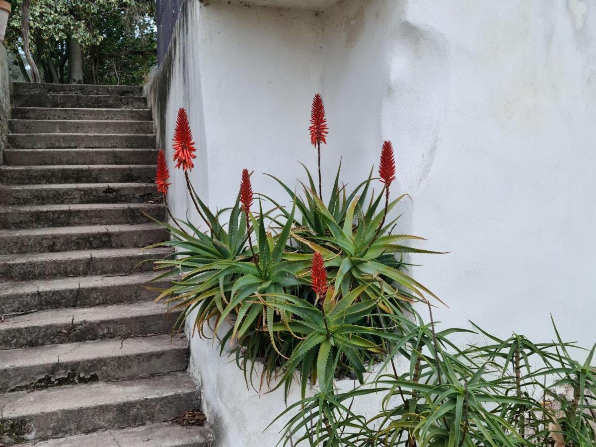 Gite Zen Carnoules  외부 사진